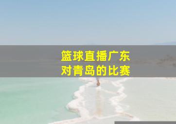 篮球直播广东对青岛的比赛