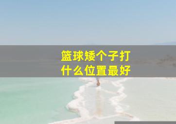 篮球矮个子打什么位置最好