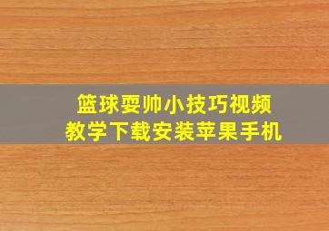 篮球耍帅小技巧视频教学下载安装苹果手机