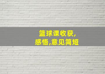 篮球课收获,感悟,意见简短