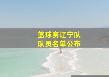 篮球赛辽宁队队员名单公布