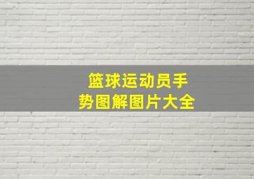 篮球运动员手势图解图片大全