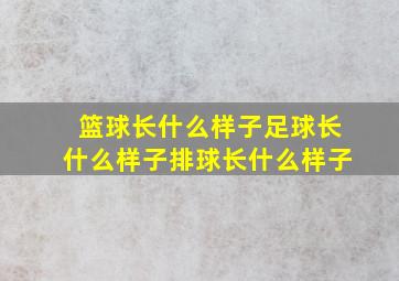 篮球长什么样子足球长什么样子排球长什么样子