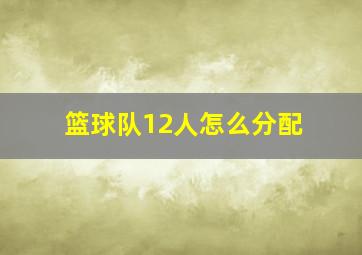 篮球队12人怎么分配