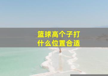 篮球高个子打什么位置合适