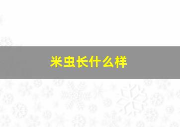 米虫长什么样