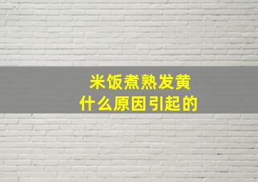 米饭煮熟发黄什么原因引起的