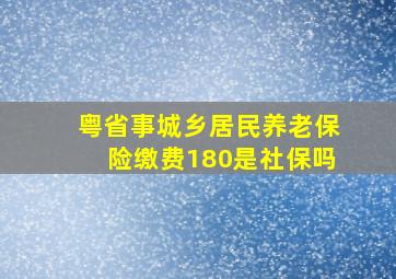 粤省事城乡居民养老保险缴费180是社保吗