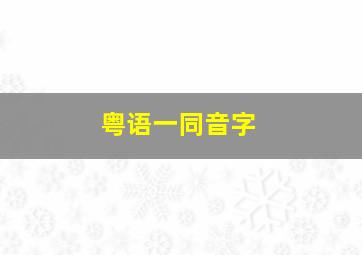 粤语一同音字