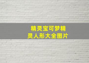 精灵宝可梦精灵人形大全图片