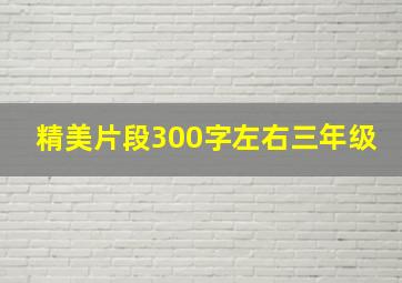 精美片段300字左右三年级