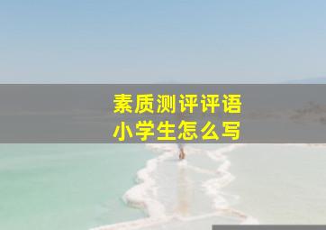 素质测评评语小学生怎么写