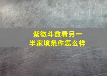 紫微斗数看另一半家境条件怎么样