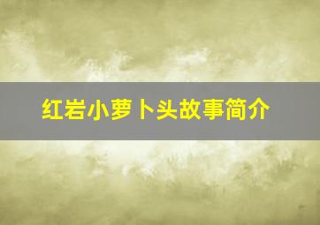 红岩小萝卜头故事简介