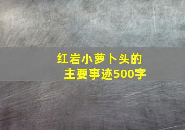 红岩小萝卜头的主要事迹500字