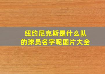 纽约尼克斯是什么队的球员名字呢图片大全