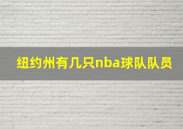 纽约州有几只nba球队队员