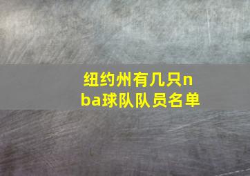 纽约州有几只nba球队队员名单