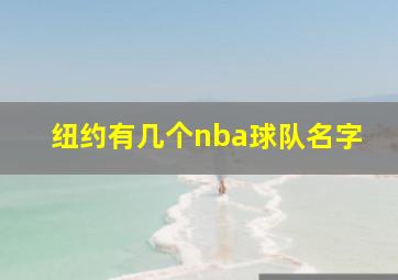 纽约有几个nba球队名字