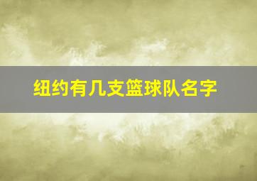 纽约有几支篮球队名字