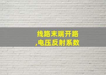 线路末端开路,电压反射系数