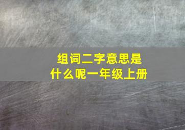 组词二字意思是什么呢一年级上册