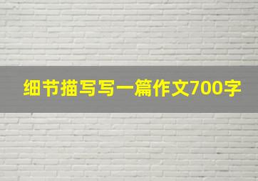 细节描写写一篇作文700字