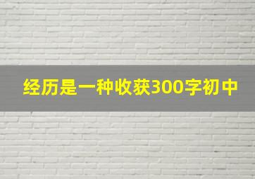 经历是一种收获300字初中