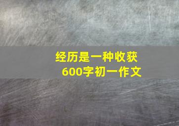 经历是一种收获600字初一作文