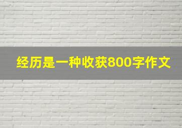 经历是一种收获800字作文