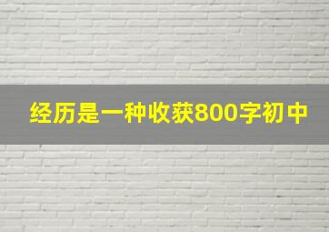 经历是一种收获800字初中