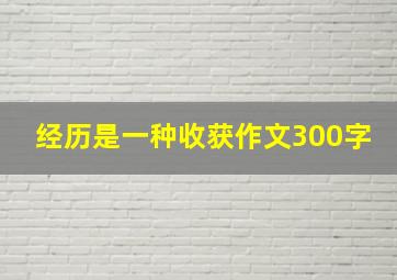 经历是一种收获作文300字