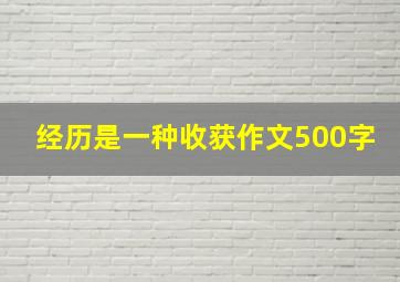 经历是一种收获作文500字