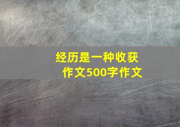 经历是一种收获作文500字作文