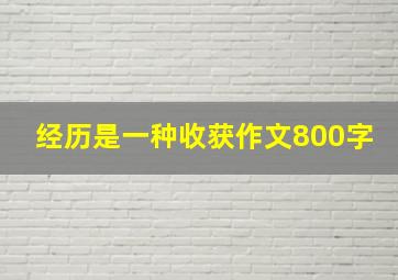 经历是一种收获作文800字