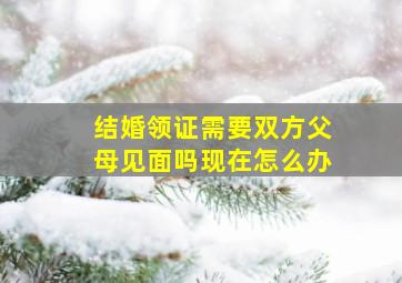 结婚领证需要双方父母见面吗现在怎么办