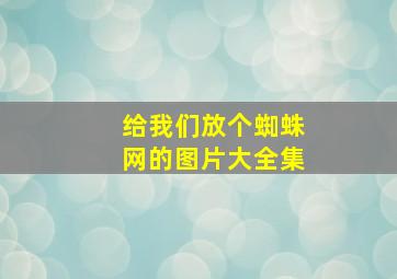 给我们放个蜘蛛网的图片大全集