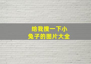 给我搜一下小兔子的图片大全