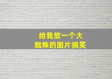 给我放一个大蜘蛛的图片搞笑