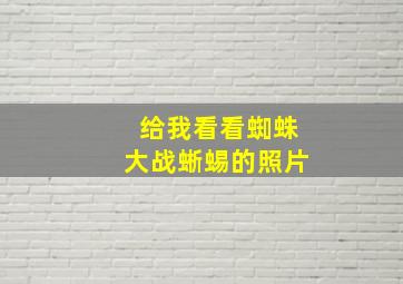 给我看看蜘蛛大战蜥蜴的照片