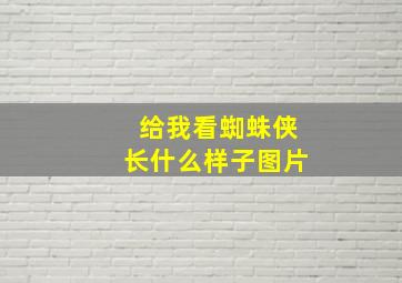 给我看蜘蛛侠长什么样子图片