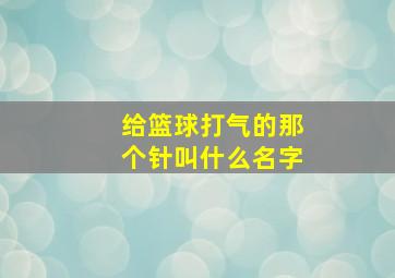 给篮球打气的那个针叫什么名字