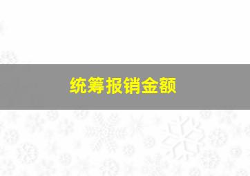 统筹报销金额