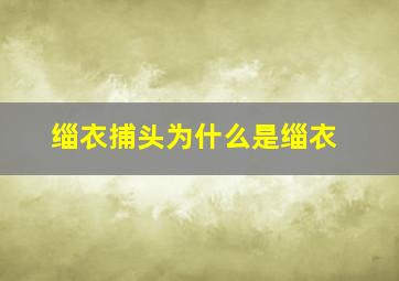 缁衣捕头为什么是缁衣