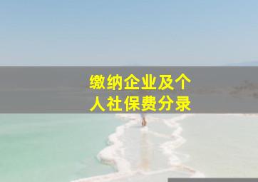 缴纳企业及个人社保费分录