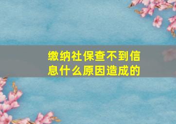 缴纳社保查不到信息什么原因造成的