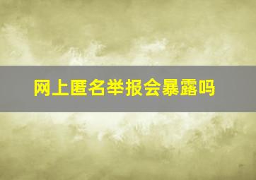 网上匿名举报会暴露吗