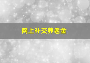 网上补交养老金