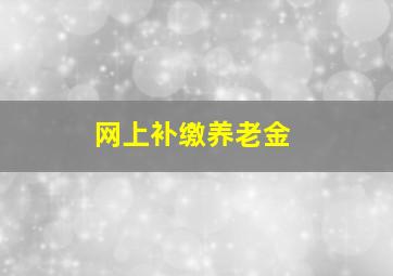 网上补缴养老金