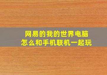 网易的我的世界电脑怎么和手机联机一起玩